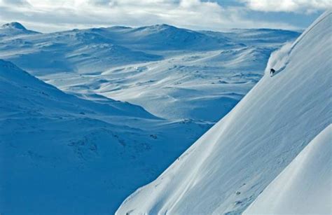 Snowboarding 的图像结果