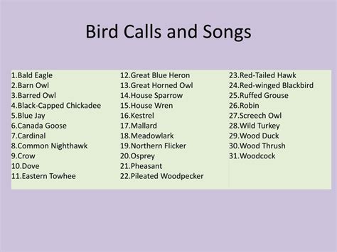 Image result for Stream Order Explained