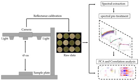 Study on the Relations between Hyperspectral Images of Bananas (Musa ...