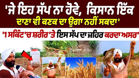 If this snake didn't exist, farmers wouldn't be able to grow even a ...