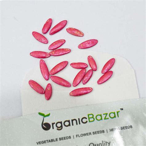 Buy Best Quality Cucumber Light Green F1 Hybrid Seeds - Organicbazar