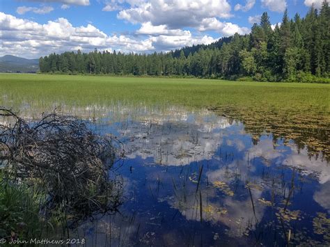 Elevation of Woodlawn Dr, Coeur d'Alene, ID, USA Elevation Finder ...