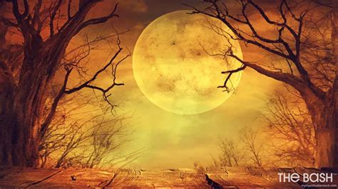 fall halloween zoom backgrounds