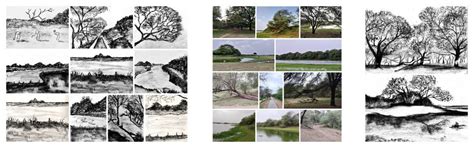 Forest Floor | CEPT - Portfolio