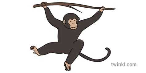 What is a Zoo? - Answered - Twinkl Teaching Wiki - Twinkl