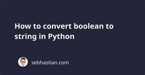 Image result for String Boolean Python
