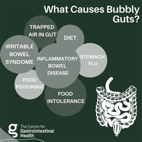 A Guide to Bubbly Guts | Centre for Gastrointestinal Health