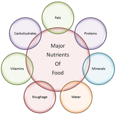 Image result for Class 6 Science Components of Food