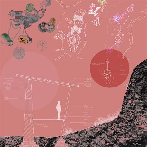 Outward Herbarium | CEPT - Portfolio