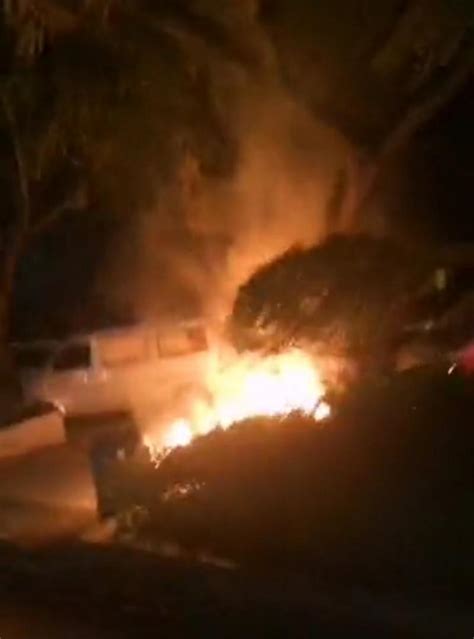街头火光冲天！货车被焚树木烧焦，起火原因竟是……