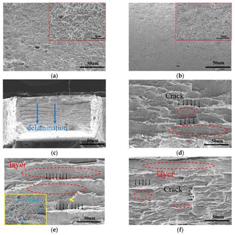 Heterogeneous Microstructure and Tensile Properties of an Austenitic ...