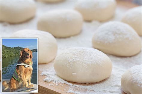 Keep pets away from Thanksgiving table to avoid deadly food disasters: experts