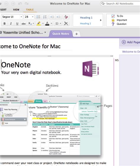 OneNote for Mac Tutorial 的图像结果