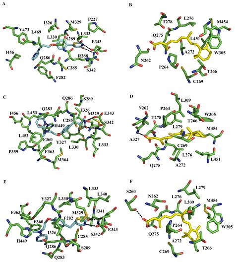 Microsecond MD Simulations to Explore the Structural and Energetic ...
