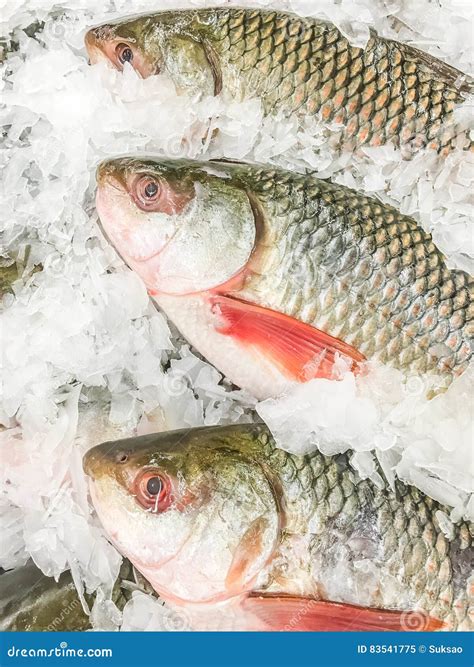 Rohu fish fresh stock image. Image of marine, fishing - 83541775