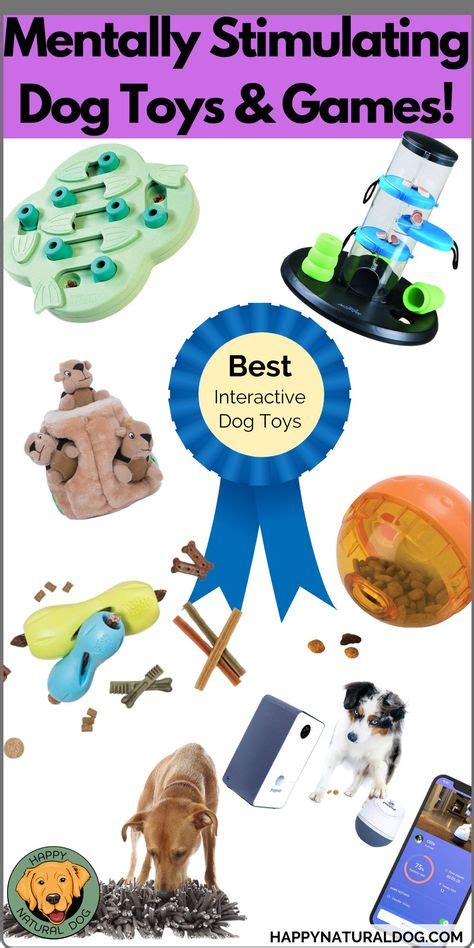 Image result for Interactive Games for Dogs