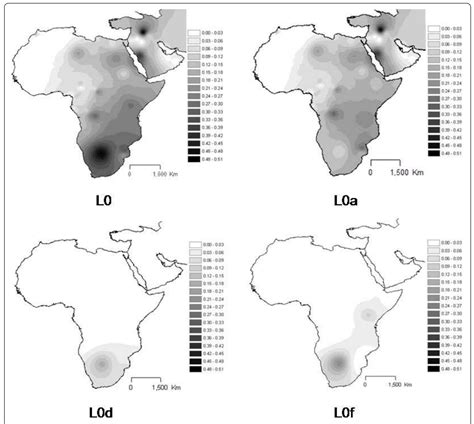 Figure 3 - The trans-Saharan slave trade- clues from