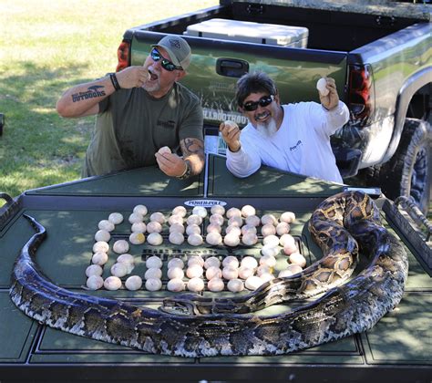 Image result for How Do Python Hunt