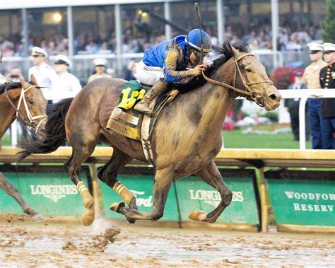 Sovereignty - Horse Profiles: Pedigree, Stats, Results & Past ...