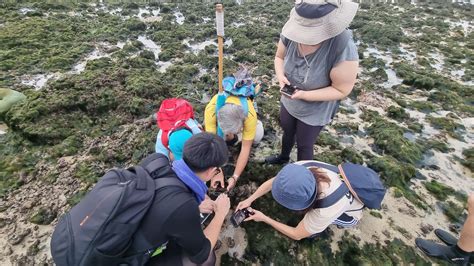 Nature Programmes 的图像结果