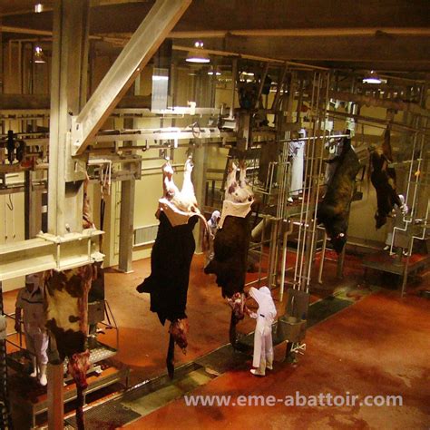 Slaughter Process 的图像结果