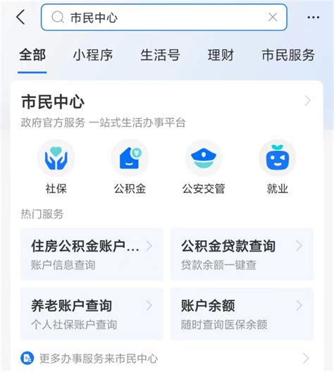 领取养老金认证在手机上怎么操作_360新知