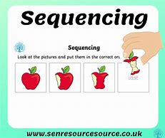 Sequencing 的图像结果