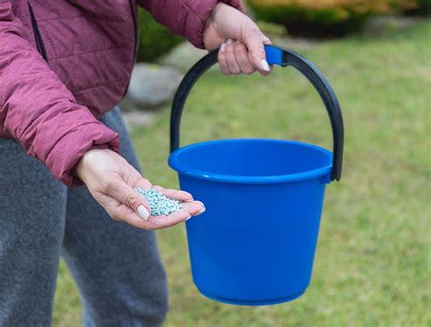 Essential Winter Care Tips for a Lush Spring