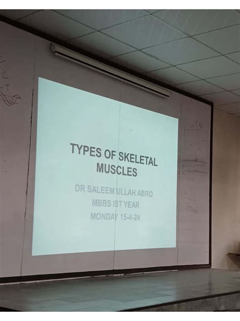 Types of Skeletal Muscles | PDF