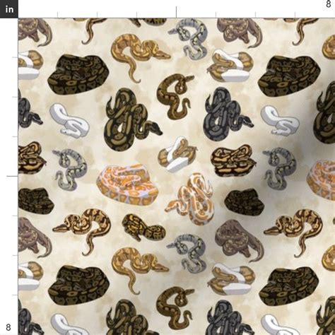 Ball Python Collection 的图像结果