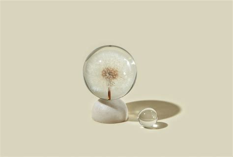 Leading IVF Fertility Clinic | Reproductive Partners Medical Group