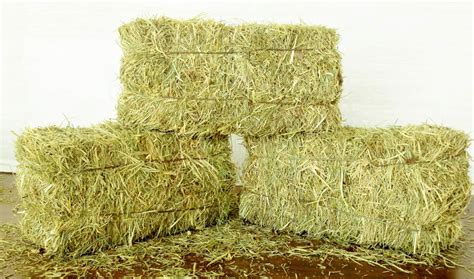 Hay Bales For Hire in Eastbourne, East Sussex | Rent Event