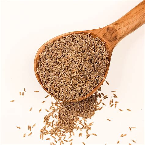 Cummins Seeds - Jeera – Royal Fantasy Dry Fruit Centre