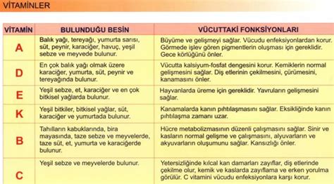Vitaminler ve Beslenmedeki Önemi - Sayfa 2