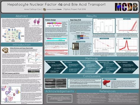 Image result for Python Original Poster