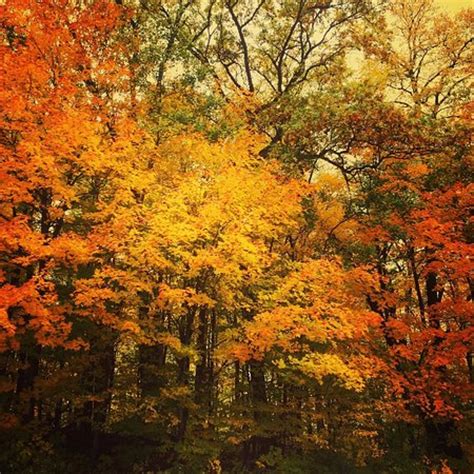 Maple Grove Tourism (2024): All You Need to Know Before You Go