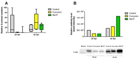 Pathogens | Special Issue : Fish Parasites and Immunology