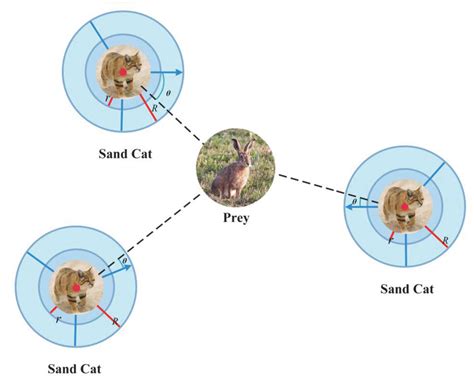 Research on a Multi-Strategy Improved Sand Cat Swarm Optimization ...