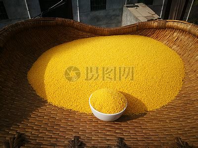 2 brands of foxtail millet (apparently), but one translated from ...