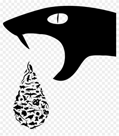 Evolution PNG 的图像结果