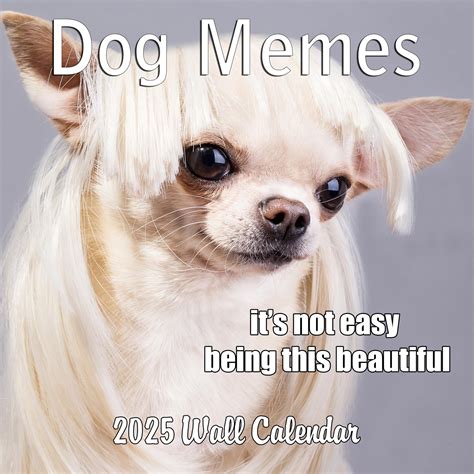 Dog Memes Funny