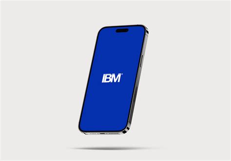 IBM 的图像结果