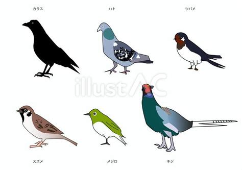 Image result for Pretty Computer Code