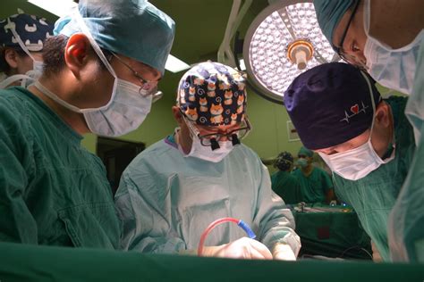 国内首例改良腹腔器官簇移植手术成功实施—新闻—科学网