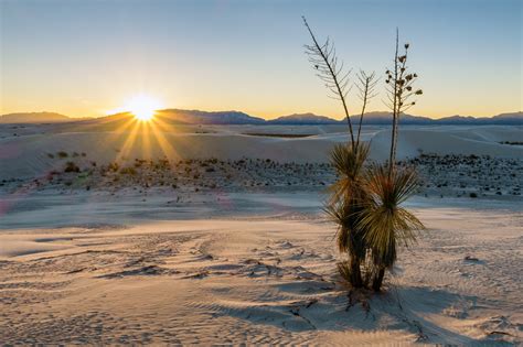 Sony RX100 IV Review - Photography Life