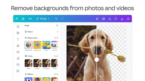 Canva: AI Photo & Video Editor – Apps on Google Play