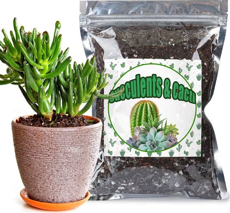 Amazon.com : Sukh 1LB Horticultural Succulent Granule Soil - Succulent ...