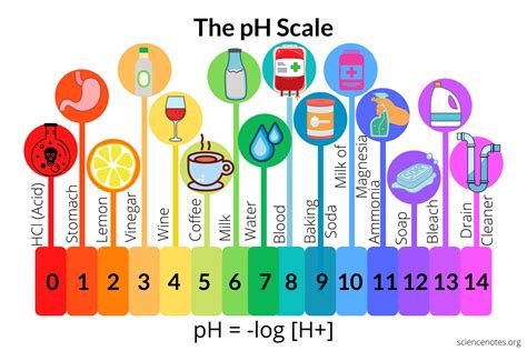 Image result for pH Scale Chart Printable