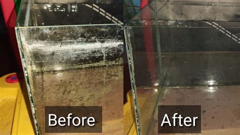 Image result for External Fish Filter Calcium Buildup