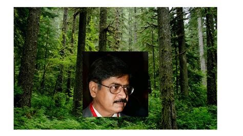 Rajesh Gopal Tree: Championing Green Innovation and Leading the Path t ...